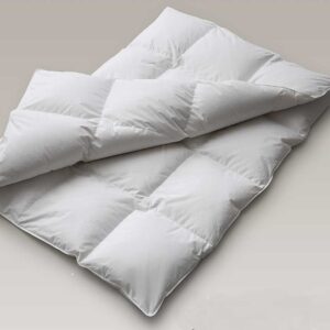 Service lavage duvet en plumes jusqu'à 160cm